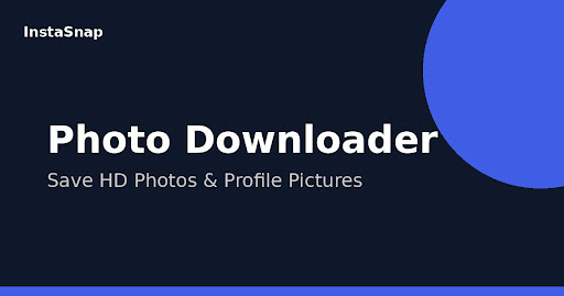 Facebook video downloader interface preview